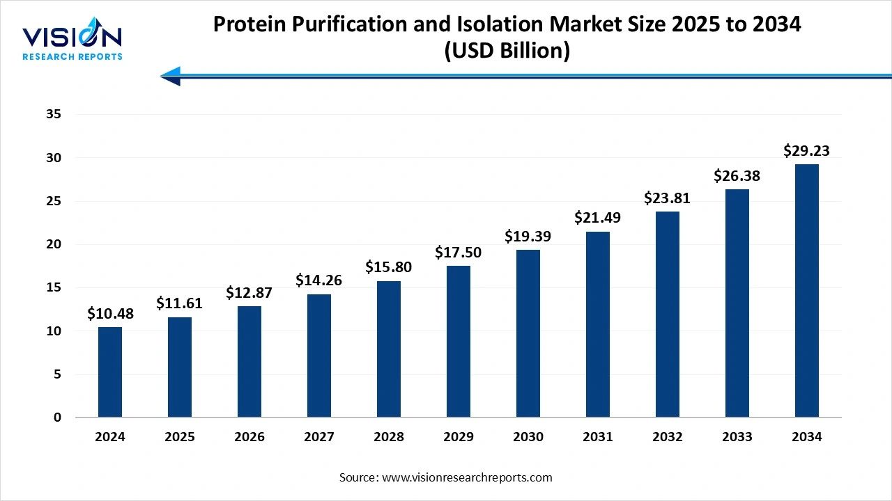 Protein Purification and Isolation Market Size 2025 to 2034